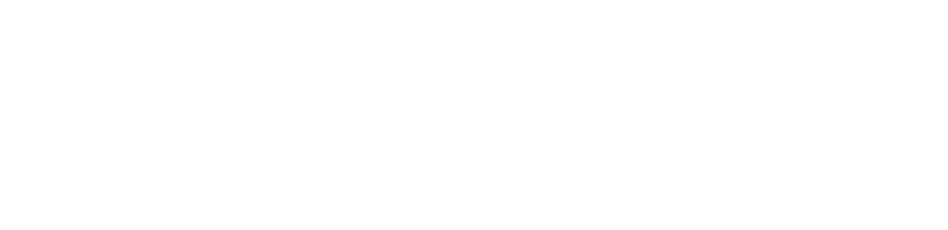 Institut Llull